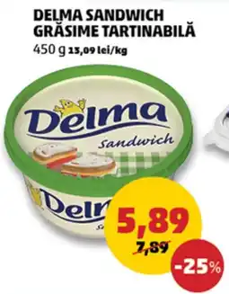 Penny Delma sandwich grăsime tartinabilă Ofertă