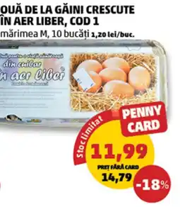 Penny Penny Card ouă de la găini crescute în aer liber Ofertă