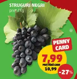 Penny Penny Card Struguri Negri Ofertă