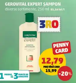 Penny Gervital expert șampon Ofertă