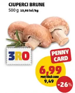 Penny Penny Card ciuperci brune Ofertă
