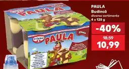 Kaufland PAULA Budincă Ofertă
