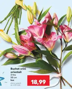 Kaufland Buchet crini orientali Ofertă