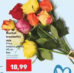 Kaufland Buchet trandafiri mix Ofertă