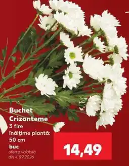 Kaufland Buchet crizanteme Ofertă
