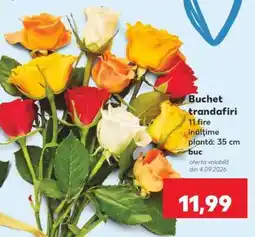 Kaufland Buchet trandafiri Ofertă