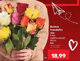 Kaufland Buchet trandafiri mix Ofertă