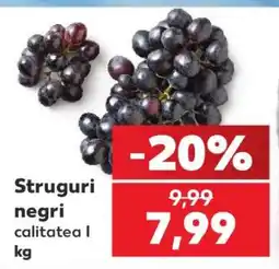 Kaufland Struguri negri Ofertă