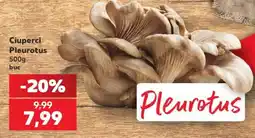 Kaufland Ciuperci Pleurotus Ofertă