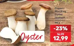 Kaufland Ciuperci Mini King Oyster Ofertă