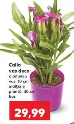 Kaufland Calla vas deco Ofertă