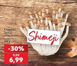 Kaufland Ciuperci Shimeji Ofertă