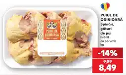 Kaufland PUIUL DE ODINIOARĂ Ofertă