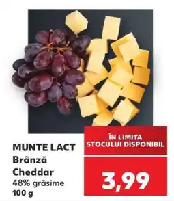 Kaufland MUNTE LACT Brânză Cheddar Ofertă