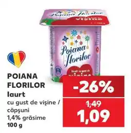 Kaufland POIANA FLORILOR Iaurt Ofertă