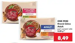 Kaufland ONE MINI Hrană Câine Adult Ofertă