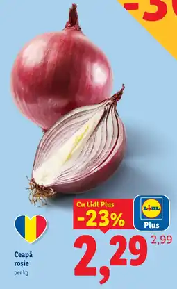 Lidl Lidl Ceapă roșie Ofertă