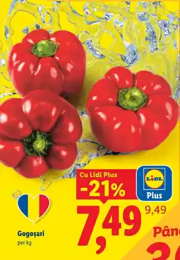 Lidl Lidl Plus Gogoșari Ofertă