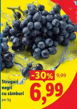 Lidl Struguri negri cu sâmburi Ofertă