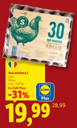 Lidl Lidl Ouă mărimea S Ofertă
