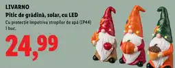 Lidl Livarno pitic de grădină solar cu led Ofertă