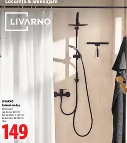 Lidl Livarno coloană de duș Ofertă