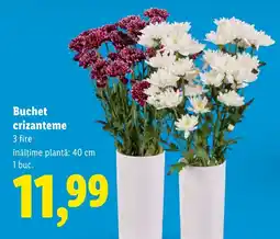 Lidl Buchet crizanteme Ofertă