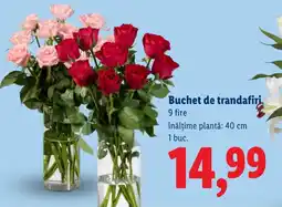 Lidl Buchet de trandafiri Ofertă