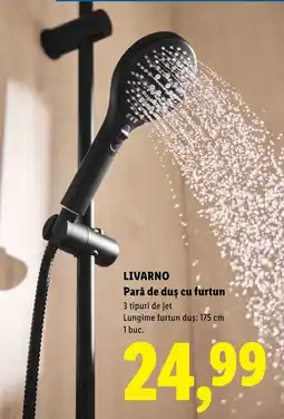 Lidl Livarno pară de duș cu furtun Ofertă