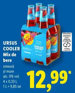 Lidl Ursus cooler mix de bere zmeură și mure Ofertă