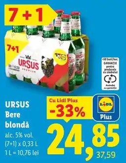 Lidl Ursus bere blondă Ofertă