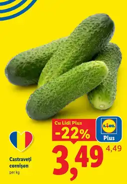 Lidl Lidl castraveți cornișon Ofertă