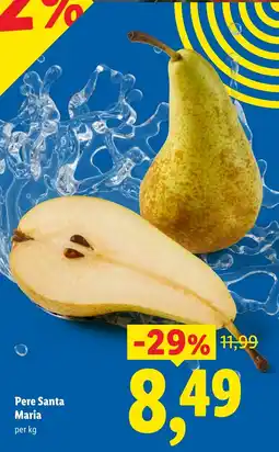 Lidl Pere Santa Maria Ofertă
