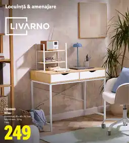 Lidl Livarno Birou Ofertă