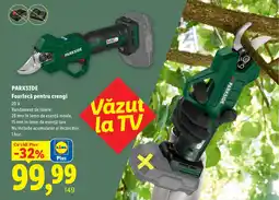 Lidl Parkside foarfecă pentru crengi Ofertă