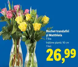 Lidl Buchet trandafiri și Matthiola Ofertă