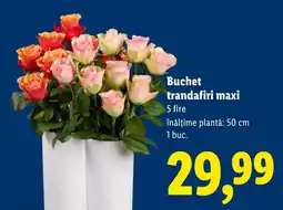 Lidl Buchet trandafiri maxi Ofertă