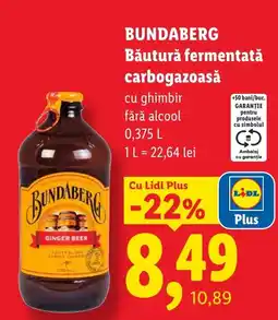 Lidl Bundaberg băutură fermentată carbo gazoasă cu ghimbir fără alcool Ofertă