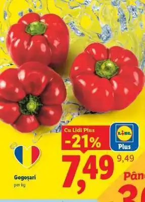 Lidl Gogoșari Ofertă