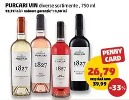 Penny PURCARI Vin Ofertă