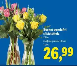 Lidl Buchet trandafiri și Matthiola Ofertă