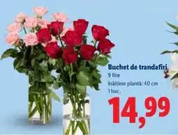 Lidl Buchet de trandafiri Ofertă