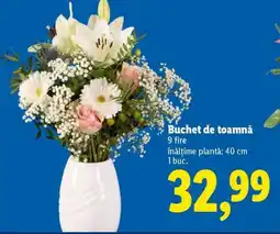Lidl Buchet de toamnă Ofertă