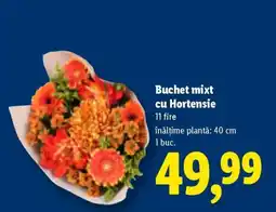 Lidl Buchet mixt cu Hortensie Ofertă