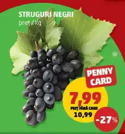 Penny Struguri negri Ofertă