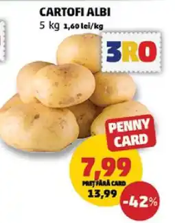 Penny Cartofi albi Ofertă
