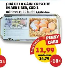 Penny Ouă de la găini crescute în aer liber, cod 1 Ofertă