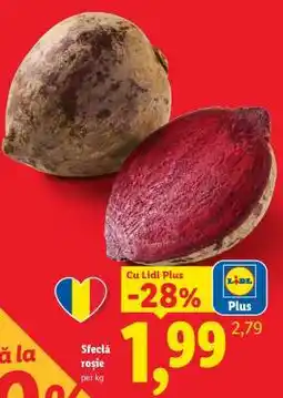 Lidl Sfeclă roşie Ofertă