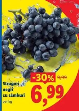 Lidl Struguri negri cu sâmburi Ofertă