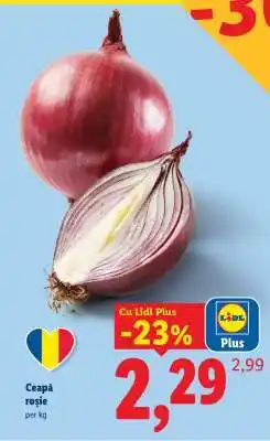 Lidl Ceapă roşie Ofertă